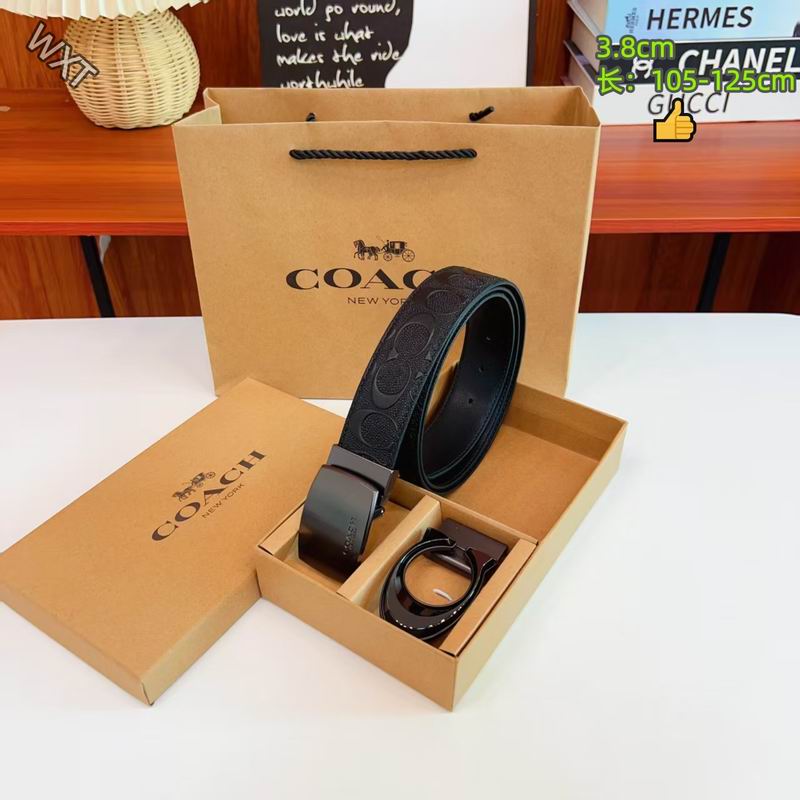Coach belt 38mmX105-125cm 8L13